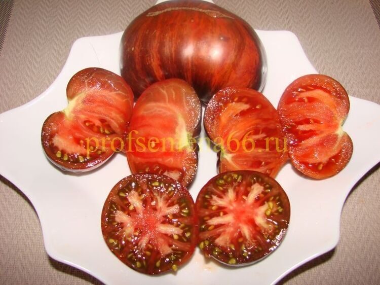 Бифштекс Марши (Marsha's Starfighter Beefsteak)
