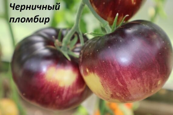 Черничный пломбир Черничный пломбир