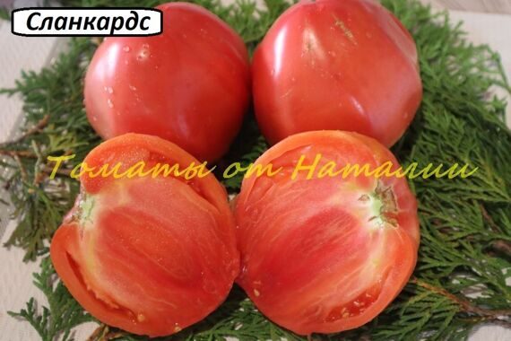 Сланкардс Сланкардс