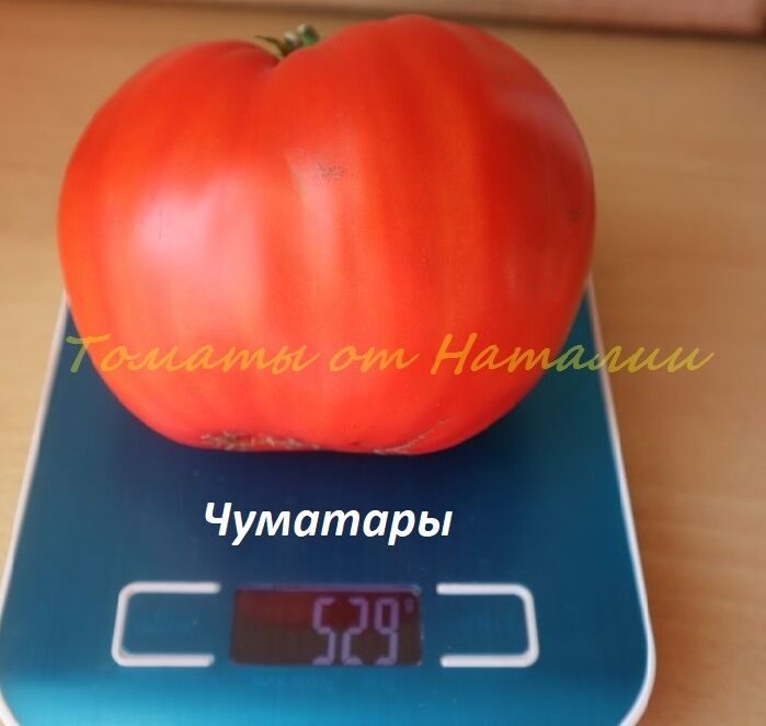 Чуматары